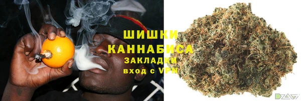 МДПВ Верхний Тагил
